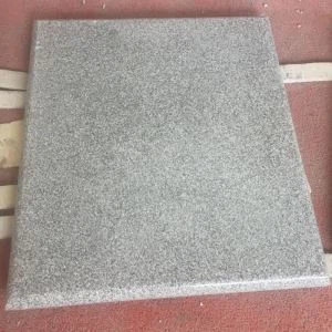 Sivi G603 Granitni bazen za suočavanje